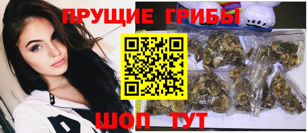 Коломна  хочу наркоту  Вход с VPN  Псилоцибиновые грибы Psilocybine cubensis  Галлюциногенные грибы GOLDEN TEACHER 